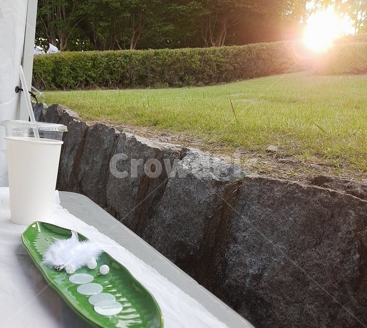 nature,자연,sunlight,햇빛,잔디,식물