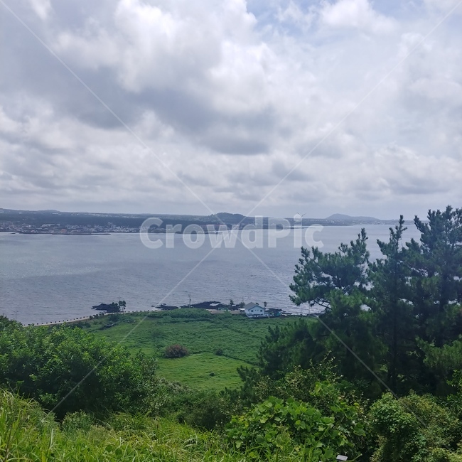 날씨,초목,옥외,자연,outdoors,제주도,섬,자연,풍경,nature,landscape,land,땅,vegetation,plant,식물,weather