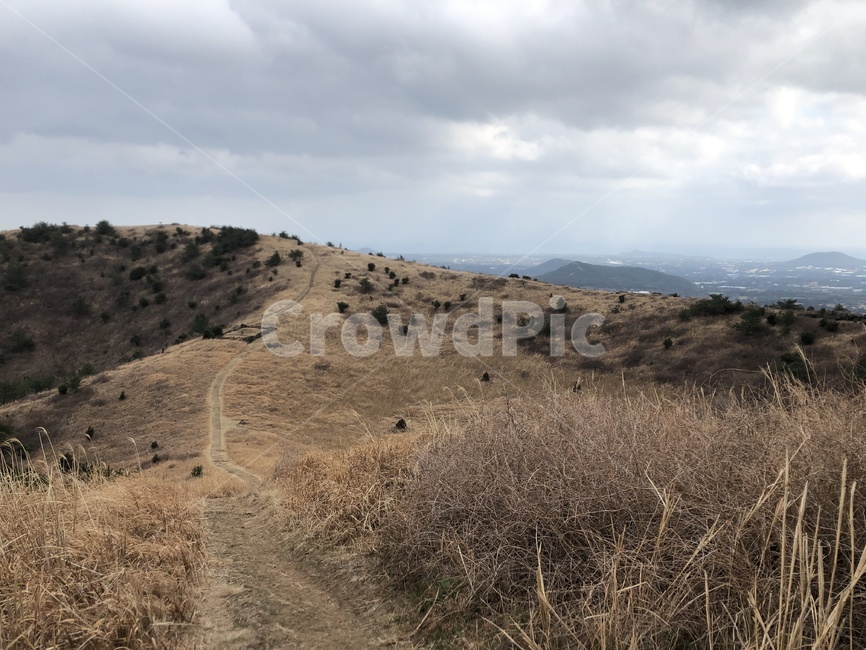 제주오름,오름,제주도,자연,갈대