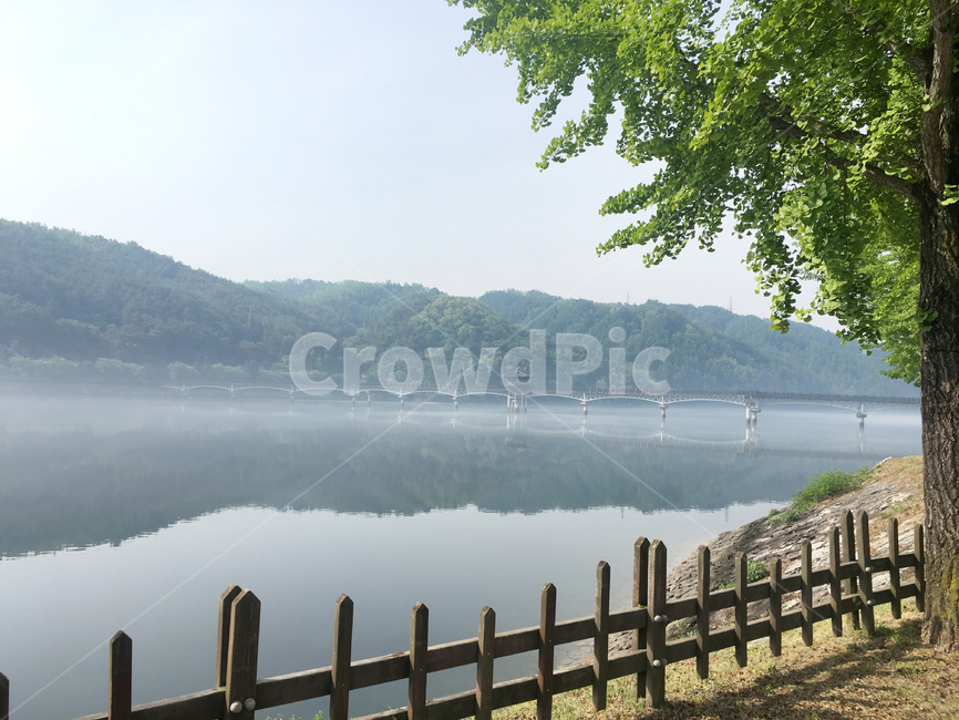 안동,andong,호수,아침,낭만적,나무,산,water,물,자연,풍경,nature,landscape