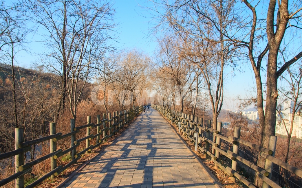 산책로,겨울,나무,공원,울타리,목책,텅빈,풍경,경치,길,산책길,파란,하늘,조용한,그림자,하늘공원,겨울,계절,winter,season,자연,풍경,nature,landscape,한국자연풍경,한국자연경관,korea nature landscape,path,통로,walkway,보도