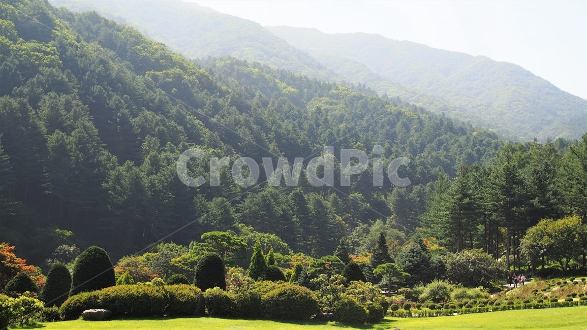 숲속,산,휴식,여행,산책,여가,수목원,공원,휴양림,정원,싱그러운,초록색,자연,풍경,아침,forest,relaxing,travel,walk,park,garden,morning,green,nature,scenery,목가적인,평화로운,자연,풍경,nature,landscape,plant,식물,grass,잔디,outdoors,옥외,field,들,grassland,목초지