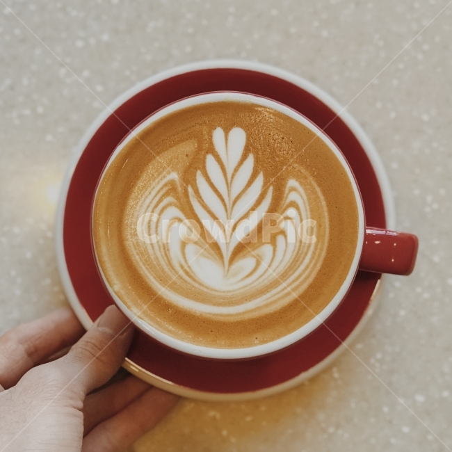 튤립,라떼아트,아트,커피,라떼,카페라떼,커피,카페,coffee,cafe,감성,sensible,feeling