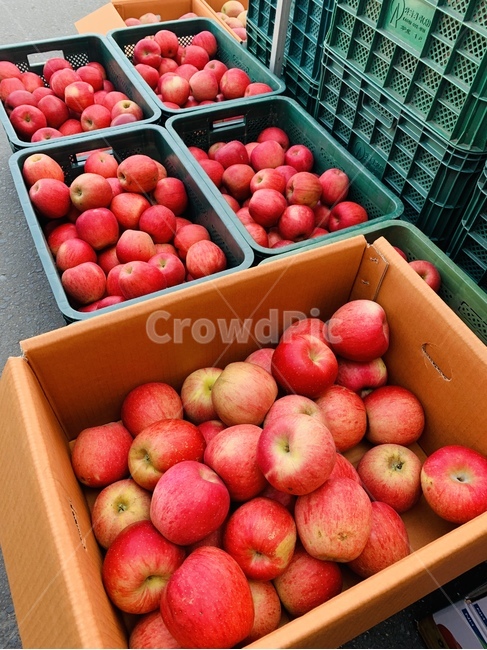 과일,사과,fruits,apple,시장,빨강,붉은,붉은색,plant,식물,음식,식재료,요리,food,cook,meal,dishes,food reserves,과일,열매,fruit