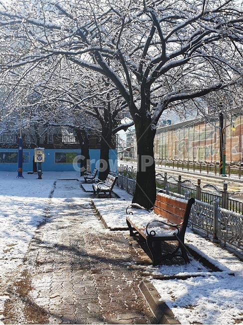눈,설경,벤치,공원,공원벤치,snow,겨울,계절,winter,season