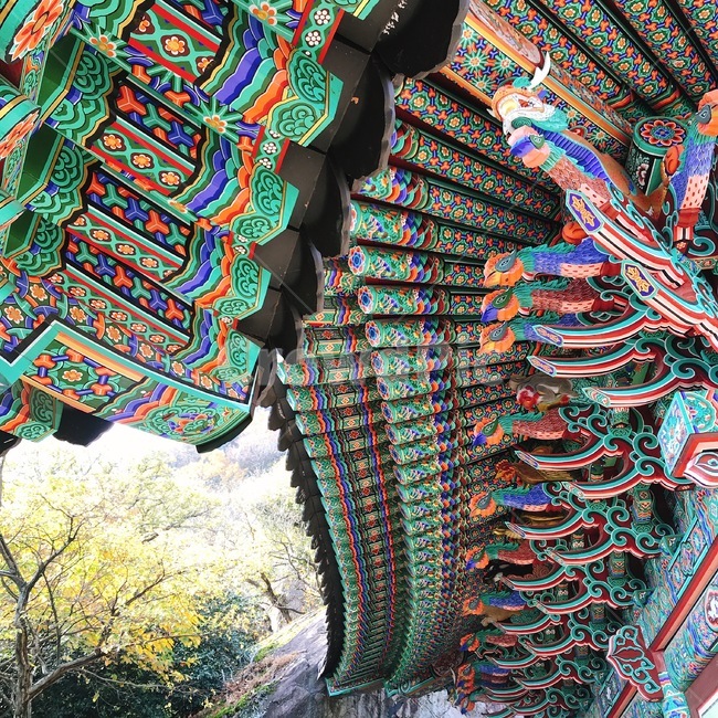 절,여수,한국,향일함,한국건축물