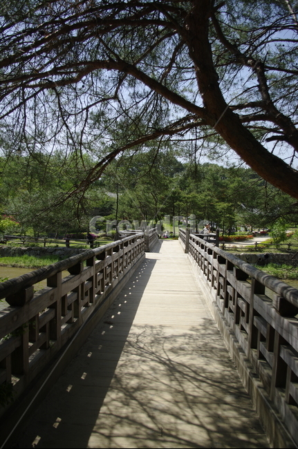 다리,원목,wood,나무,식물,plant,자연,nature,자연,풍경,nature,landscape,한국자연풍경,한국자연경관,korea nature landscape,handrail,난간,banister,railing,boardwalk,산책로,building,건물,bridge