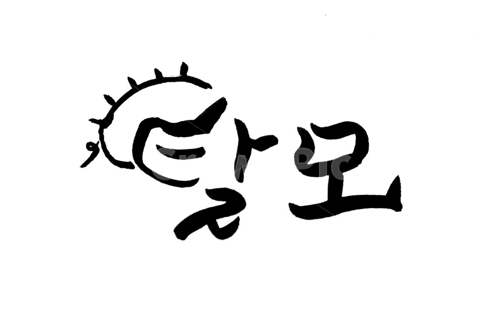 캘리그라피,탈모,머리카락,글자,손글씨,대머리,캘리그라피,손글씨,calligraphy