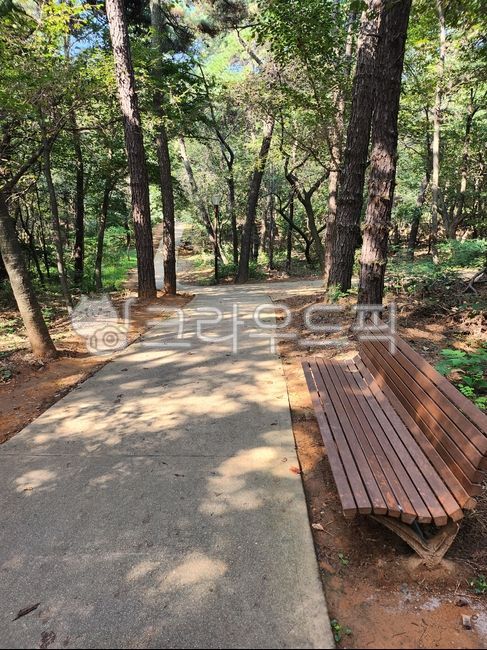 산책길,산책로,숲길,벤치길,공원길,공원,벤치,길,나무,path,tree,bench,park