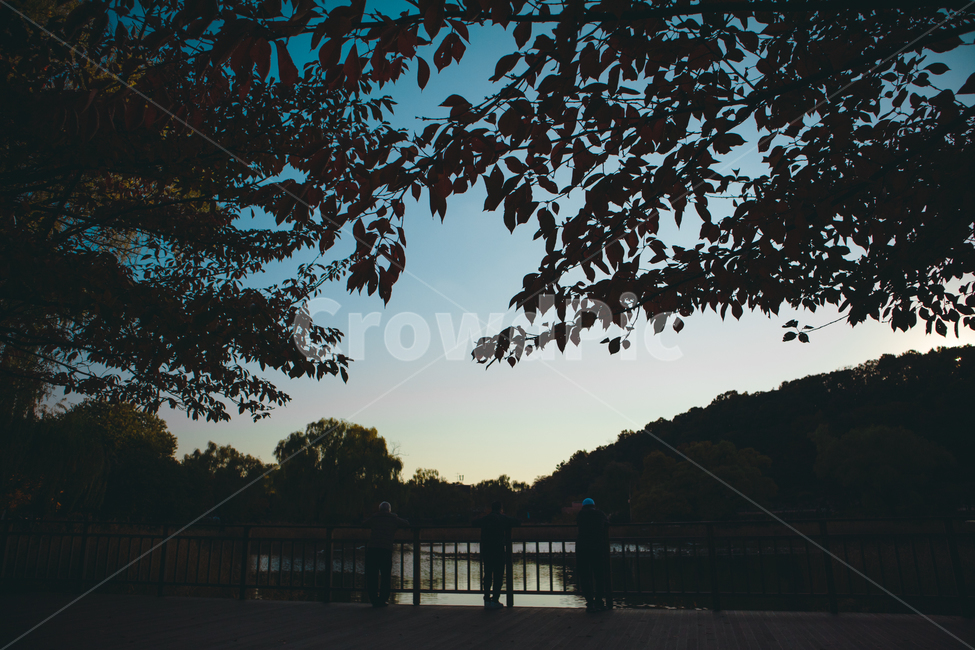 공원,공원풍경,호수,나무,자연,nature,풍경,도심풍경,landscape,보라매공원,한국공원,한국공원풍경,korea,가로수,park,tree,lake,자연,풍경,nature,landscape,사람들,대중,군중,other people,crowd