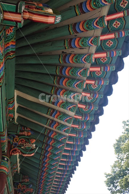 한국,korea,한옥,전통,단청,기와,tradition,건축,architecture,culture,한국문화,역사,history,문화유산,heritage