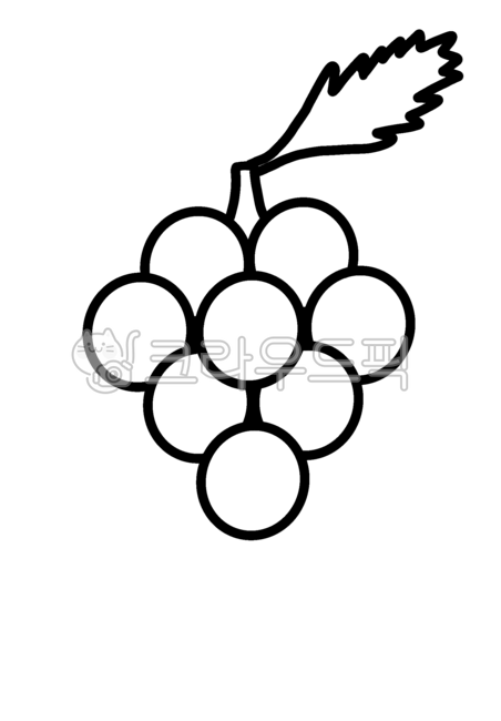 그림도안,여름과일,포도,청포도,샤인머스켓,색칠도안,과일