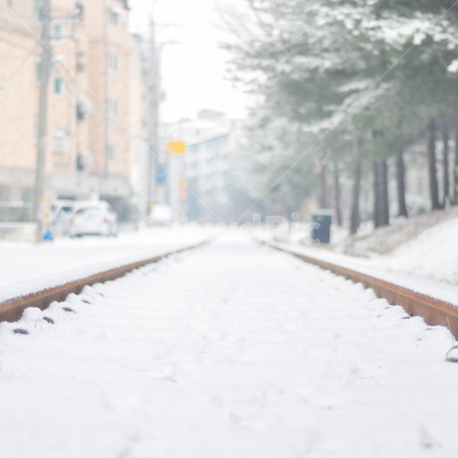 철길,선로,기찻길,눈,겨울,풍경,산책로,하늘,나무,기차,transportation,교통,train track,railway,철도,rail,레일