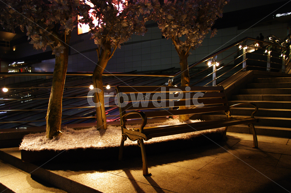 벤치,의자,빛,조명,밤,도시,나무,야경,밤,풍경,nightscape,night,landscape,banister,난간,handrail