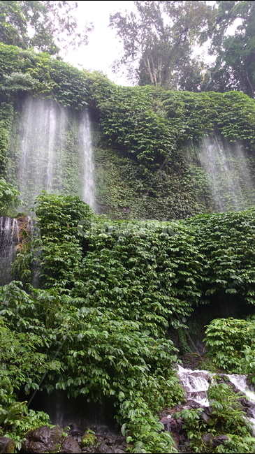 폭포,fall,물,water,nature,자연,초록,숲,grass,forest,롬복,인도네시아,린자니산,린자니