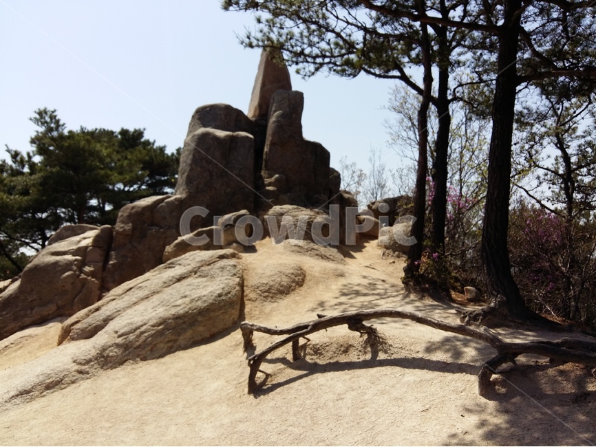 용봉산,충남,봄,바위,햇살,초록,하늘,자연,풍경,nature,landscape,한국자연풍경,한국자연경관,korea nature landscape