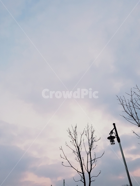 겨울,하늘,감성사진,가로등,가을,겨울,계절,winter,season,자연,풍경,nature,landscape,식물,plants,나무,trees,wood