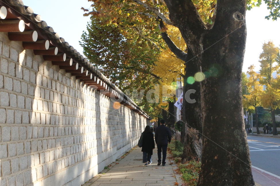 광화문,돌담길,단풍,가을,연인,햇살,나무,관광지,가을거리,광화문거리,따뜻,데이트,거리,산책로,산책
