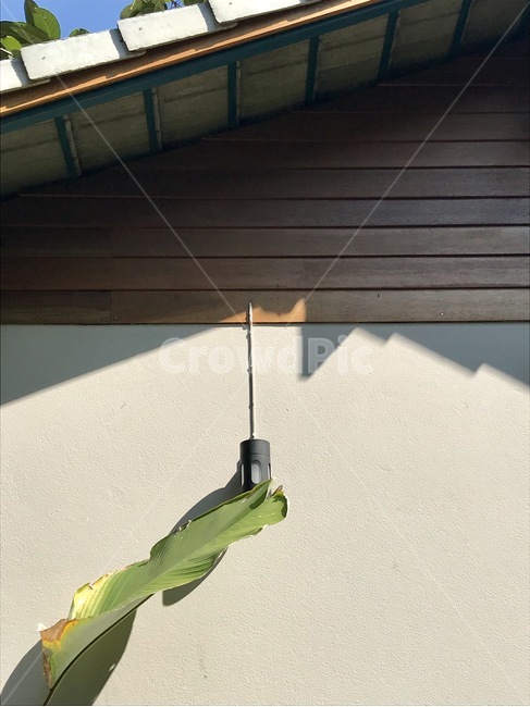 인테리어,건물,식물,집,house