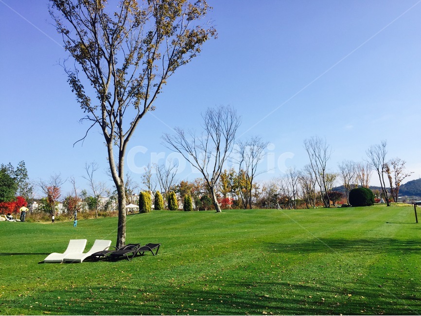 순천,순천만국가정원,가을,풍경,Korea,가을,계절,fall,autumn,season,자연,풍경,nature,landscape,식물,plants,나무,trees,wood,휴식,힐링,rest,relaxation,healing,plant,grass,잔디,lawn