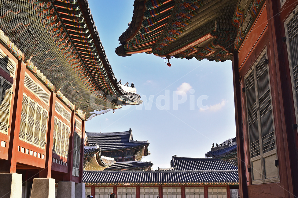한국전통,고궁,경복궁,명소,서울,traditional,korean,palace,기와,단청,조선시대,궁궐,building,structure,ancientpalace,gyeongbokgungpalace,house,배경,바탕,백그라운드,background,건물,건축물,패턴,pattern,처마