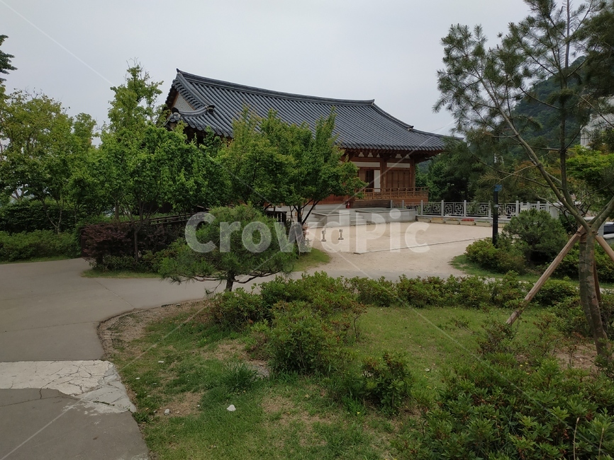 전통,건물,자연,나무,전통건물,한국전통,한국문화,korean traditional,korean culture