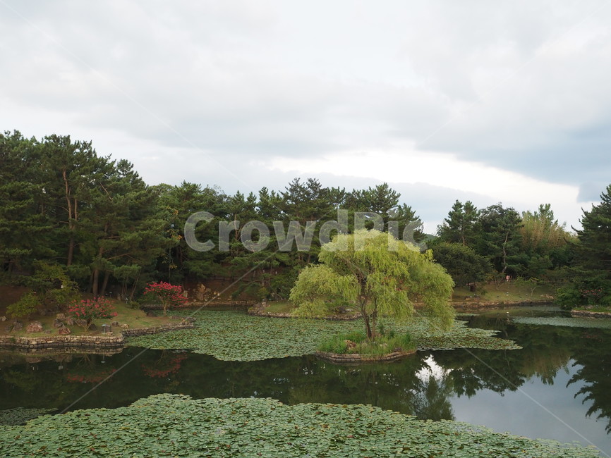 경주,안압지,야경,관광지,연못,자연,풍경,nature,landscape,water,물,land,땅,outdoors,옥외,pond,못