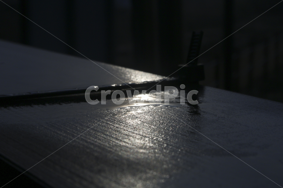wood,나무,water,물,물기,습기,이슬,햇빛,light