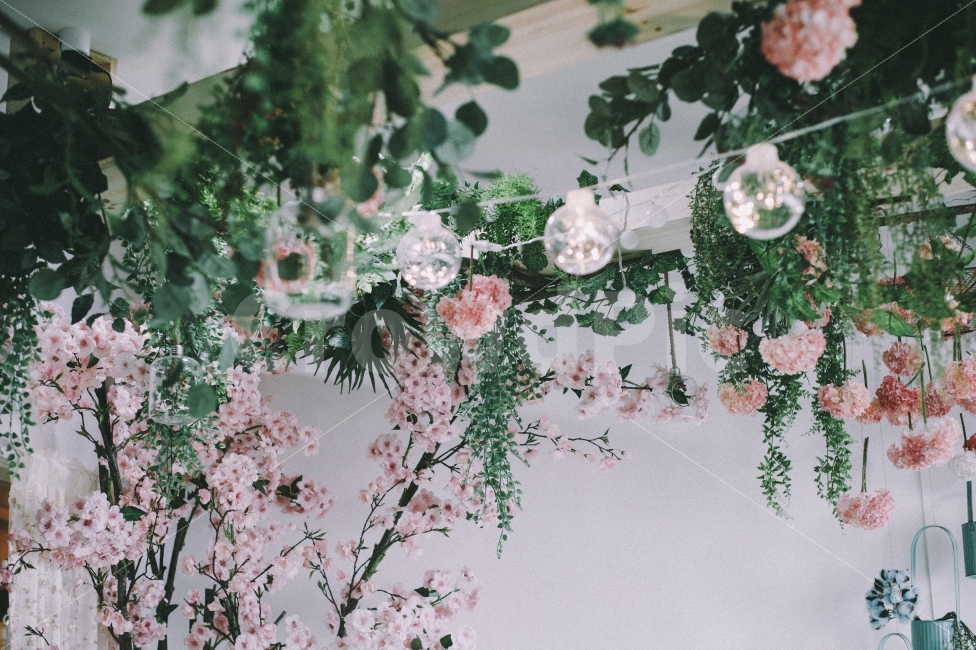 감성,여름,일상,여행,스냅,군산,식물,자연,plants,nature,꽃,flower,인테리어,실내디자인,interior design