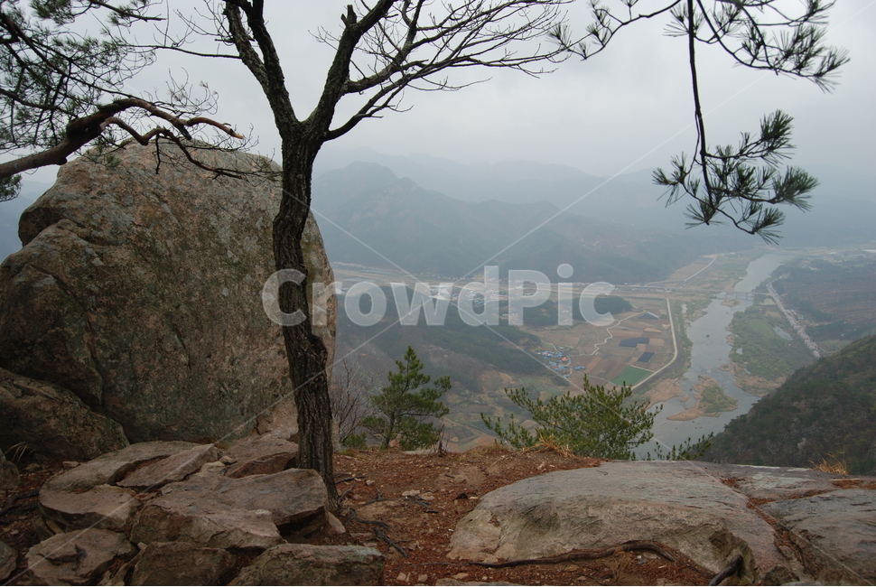 갈기산,영동군,봄,휴양림,탐방로,자연,풍경,nature,landscape,식물,plants,나무,trees,wood,ground,바닥,outdoors,옥외,경치
