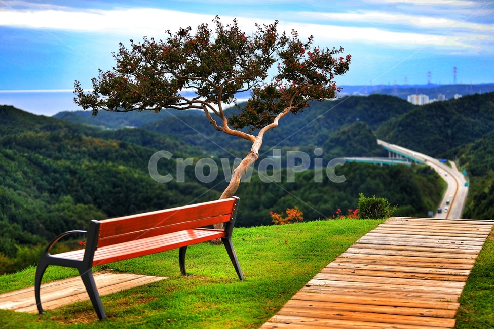 울진,풍경,운치,도화,도화동산,하늘,공원,나무,산,자연,풍경,nature,landscape,bench,벤치