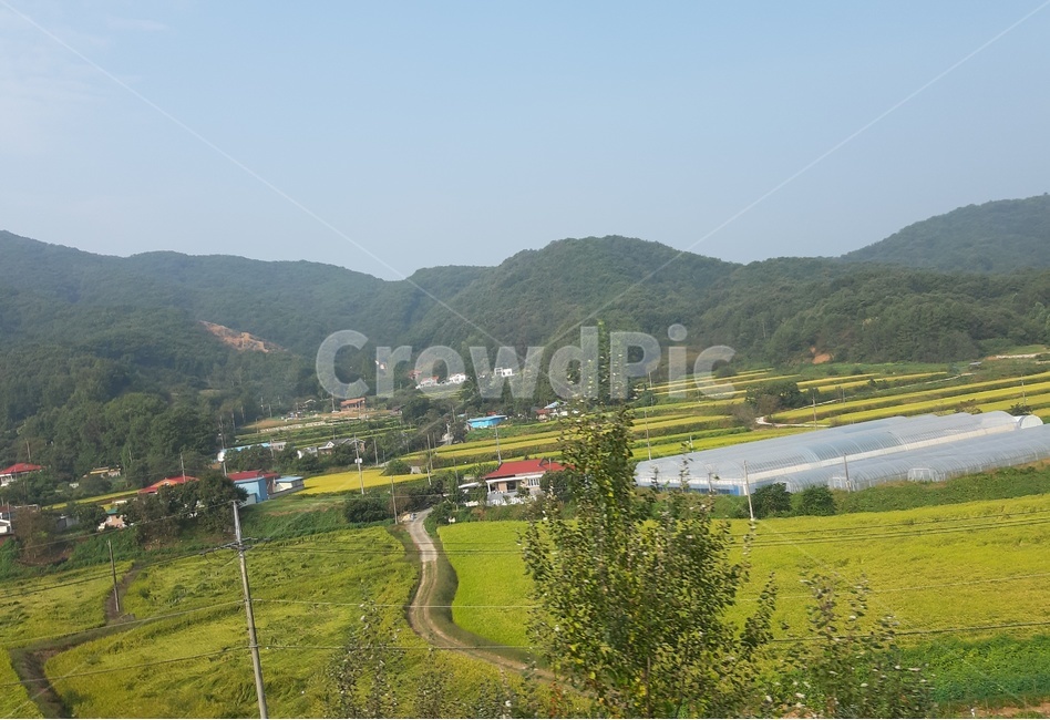 nature,자연,시골풍경,풍경,country,시골,마을,풍경,landscape,country,rural,town