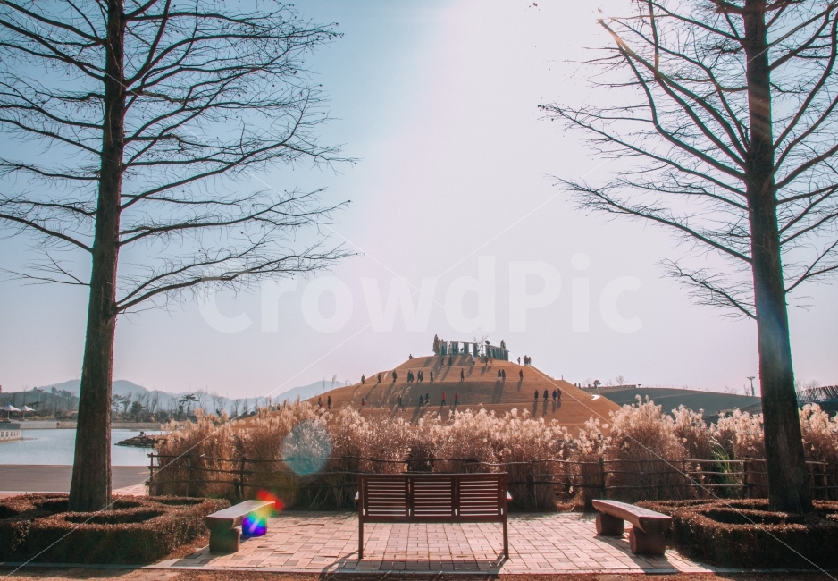 겨울,나무,순천,공원,길,korea,garden,road,tree,감성,순천만국가정원,정원,자연,풍경,nature,landscape,겨울,계절,winter,season