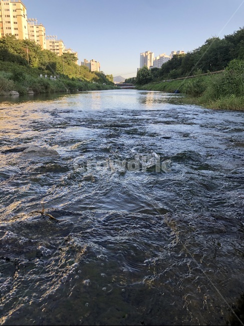 water,물,nature,자연,옥외,river,강,물가,개울