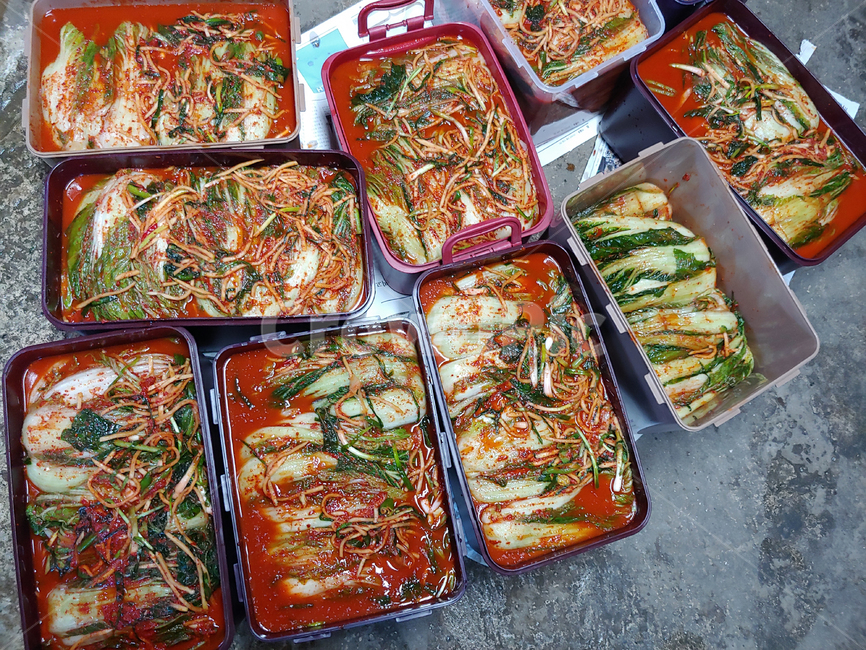 김장,김치,배추,배추김치,열무,열무김치,반찬,매운,찬,한국음식,전통음식,음식,식재료,요리,food,cook,meal,dishes,food reserves,한식,한국음식,한국요리,korean food,korean dishes,korean meal,korean cook