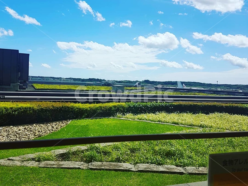 초원,풍경,nature,잔디,잔디밭,맑음,햇빛,하늘,여름,자연,풍경,nature,landscape,outdoors,옥외