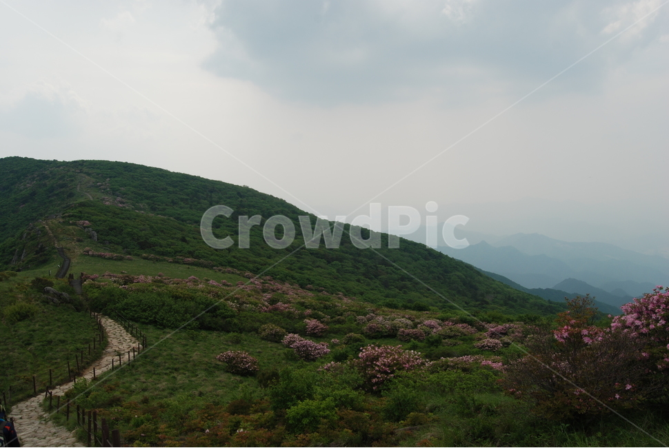 산,mountain,tree,nature,trail,등산로,자연,풍경,nature,landscape,outdoors,옥외
