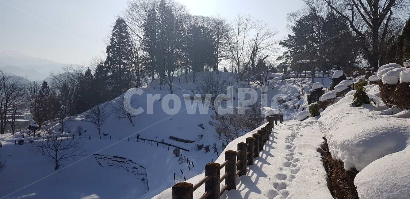 겨울,눈밭,산책로,nature,자연,겨울,계절,winter,season