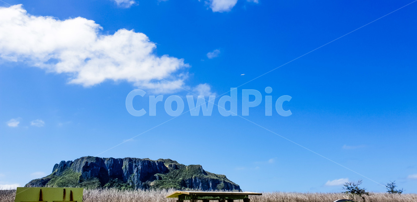 nature,자연,outdoors,옥외,사이판