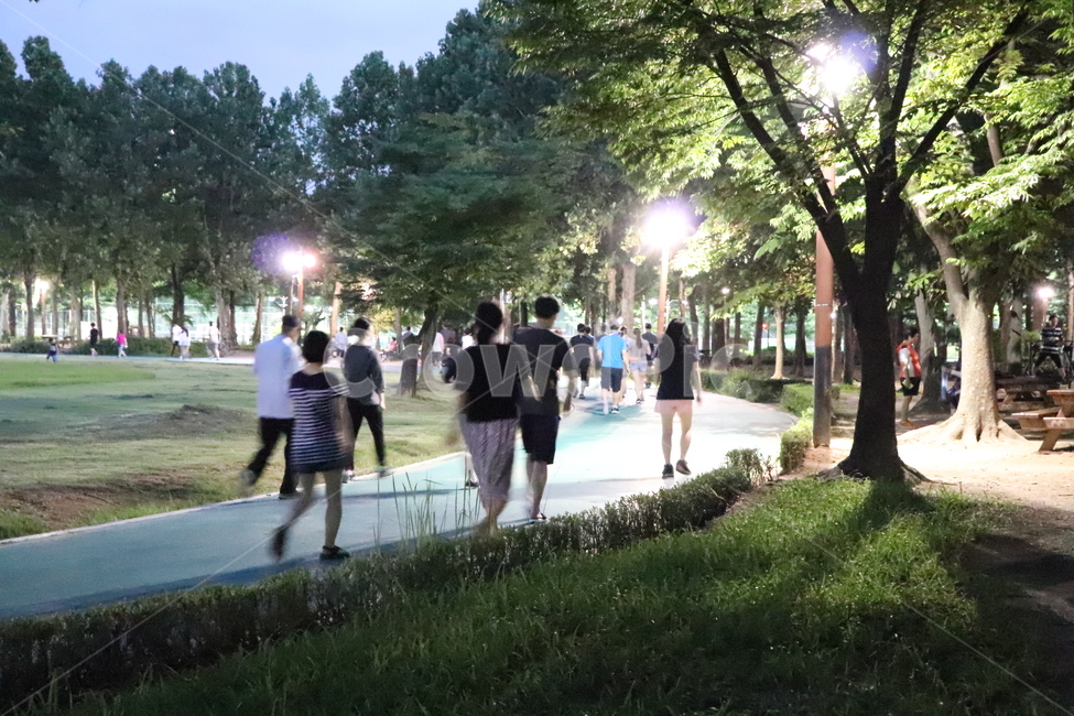 공원,저녁,밤,산책,여름,운동,야경,밤,풍경,nightscape,night,landscape,사람들,대중,군중,other people,crowd,건강,헬스웨어,헬스케어,healthware,health care,light,빛,flare,플레어,shorts,반바지