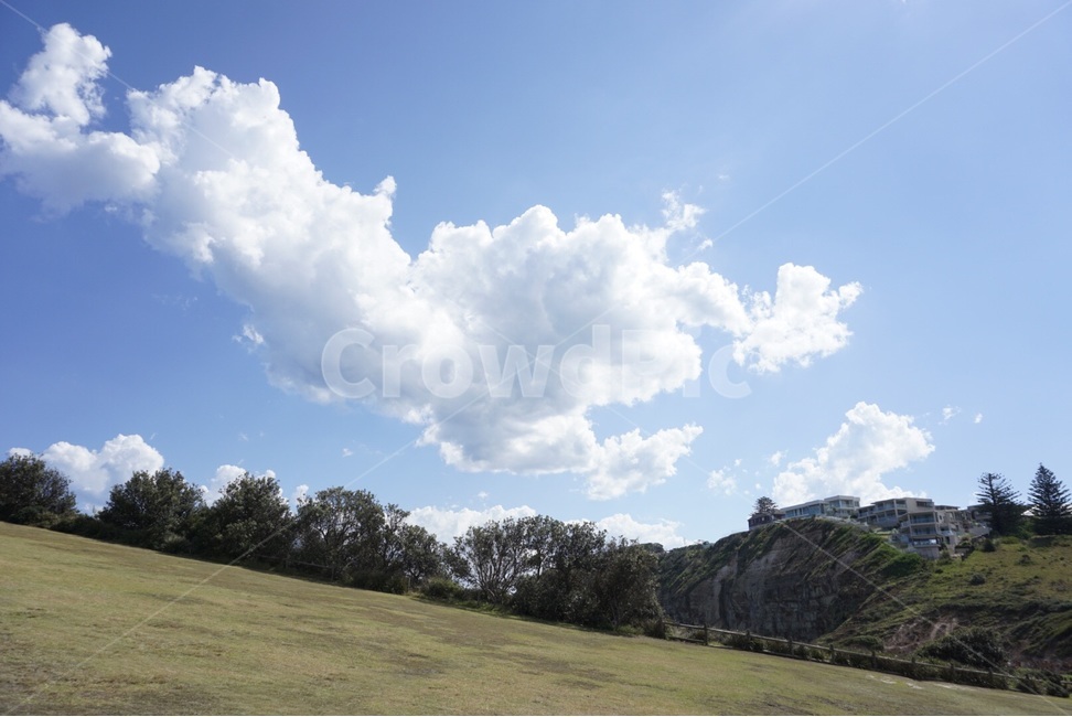 시드니,Sydney,자연,nature,풍경,scenery,하늘,sky,나무,tree,자연,풍경,nature,landscape,outdoors,옥외,plant,식물,grass,잔디,weather,날씨
