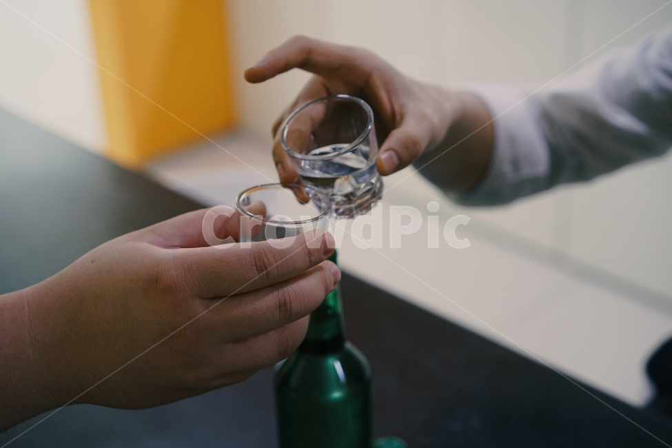 소주,알콜,음주,과음,숙취,술,술병,건배,회식,사람,인물,인간,human,person,신체일부,몸,body,술,주류,alcohol