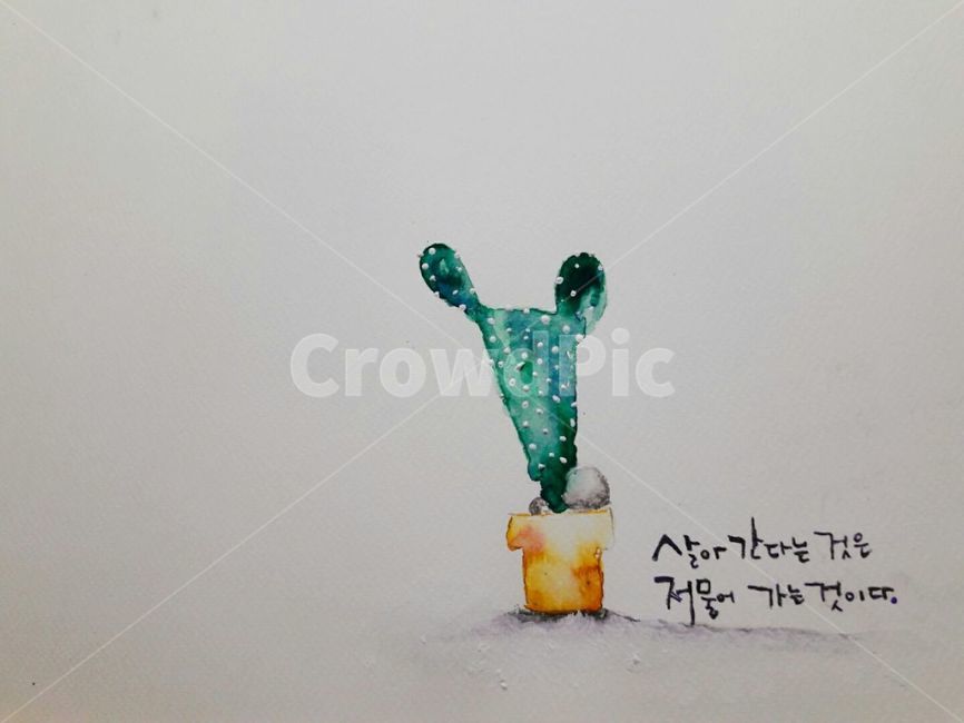 손그림,선인장,감성,위로,인생,text