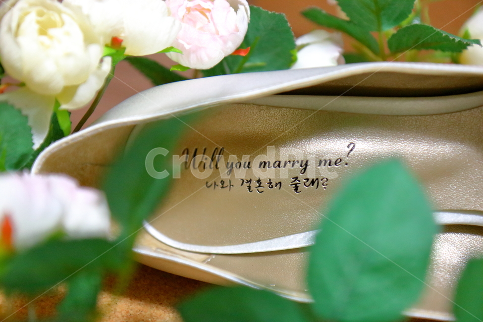 프로포즈,propose,구두,결혼,꽃,결혼,혼례,웨딩,wedding,marriage,marry