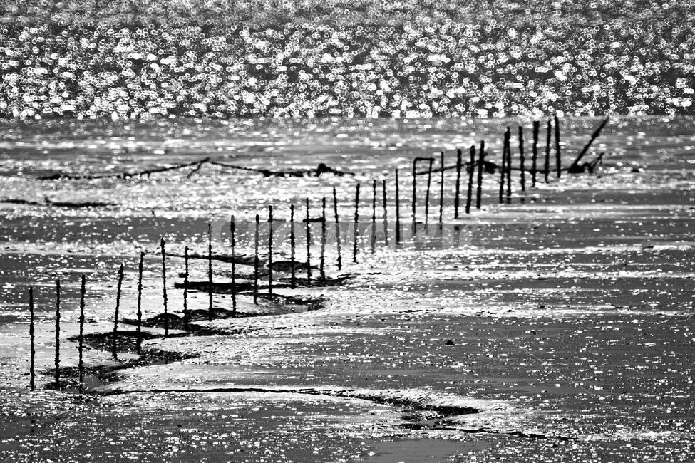 갯벌,바다,보케,풍경,landscape,자연,풍경,nature,landscape,흑백,모노톤,monochrome,black and white