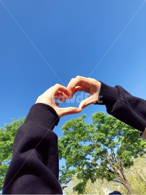 손하트,하늘,손,사랑,봄하늘