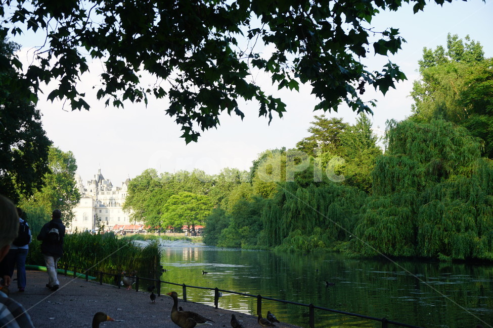 공원,park,영국,uk,런던,해외,외국,세계,foreign,oversea,world