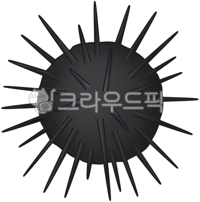 Sea urchin,sea urchin,marine life,marine life,aquatic life,sea creatures,marine nature,sea sensibility,sea urchin illustration,sea urchin drawing,sea urchin production,sea creature description,sea urchin expression,sea urchin color,seascape,