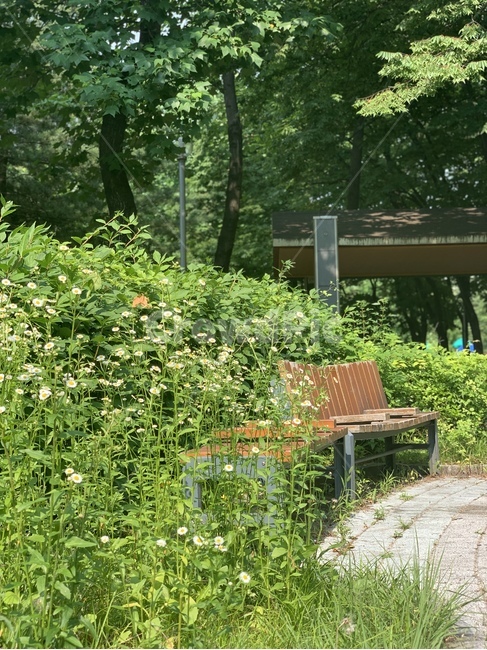 풀,봄,벤치,햇살,공원,식물,맑음,spring,bench,chair,park,의자,동네