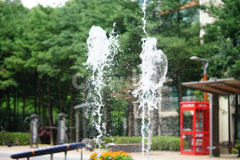 분수,물,물줄기,여름,계절,water,순간,순간포착,더위,summer,여름,계절,summer,season